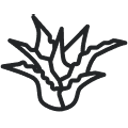 Matelas à l'aloe vera